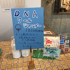 クールシャンプー始めました！！！