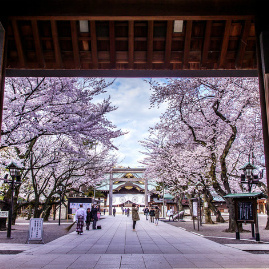 靖国神社に初めて行って来ました。