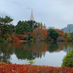 秋を感じてきました！！