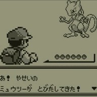 ポケットモンスター、縮めてポケモン。