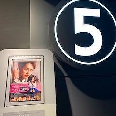 スーパースターとJKが恋に落ちる映画見てきました★