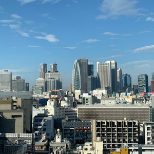 東京で過ごす正月はそれはそれで良いものでした。