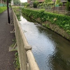 気分転換に散歩はいかがですか？