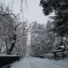 地元秋田のオススメスポット！！！